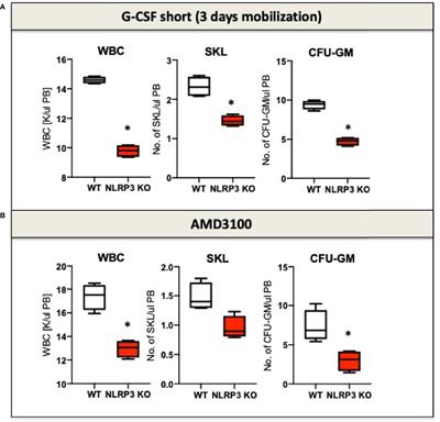 Extracellular Adenosine Triphosphate (eATP) and Its Metabolite, Extracellular Adenosine (eAdo), as Opposing “Yin–Yang” Regulators of Nlrp3 Inflammasome in the Trafficking of Hematopoietic Stem/Progenitor Cells